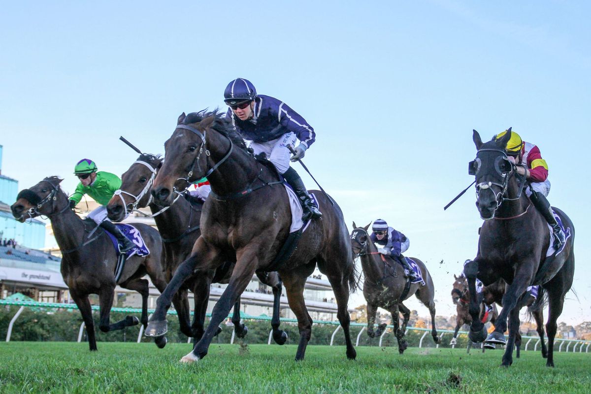 Noonan has faith in Bold Soul