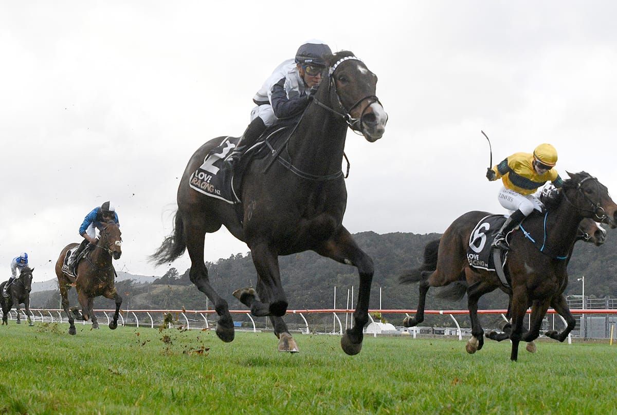 Well-placed pair kicking off busy week for Bergerson