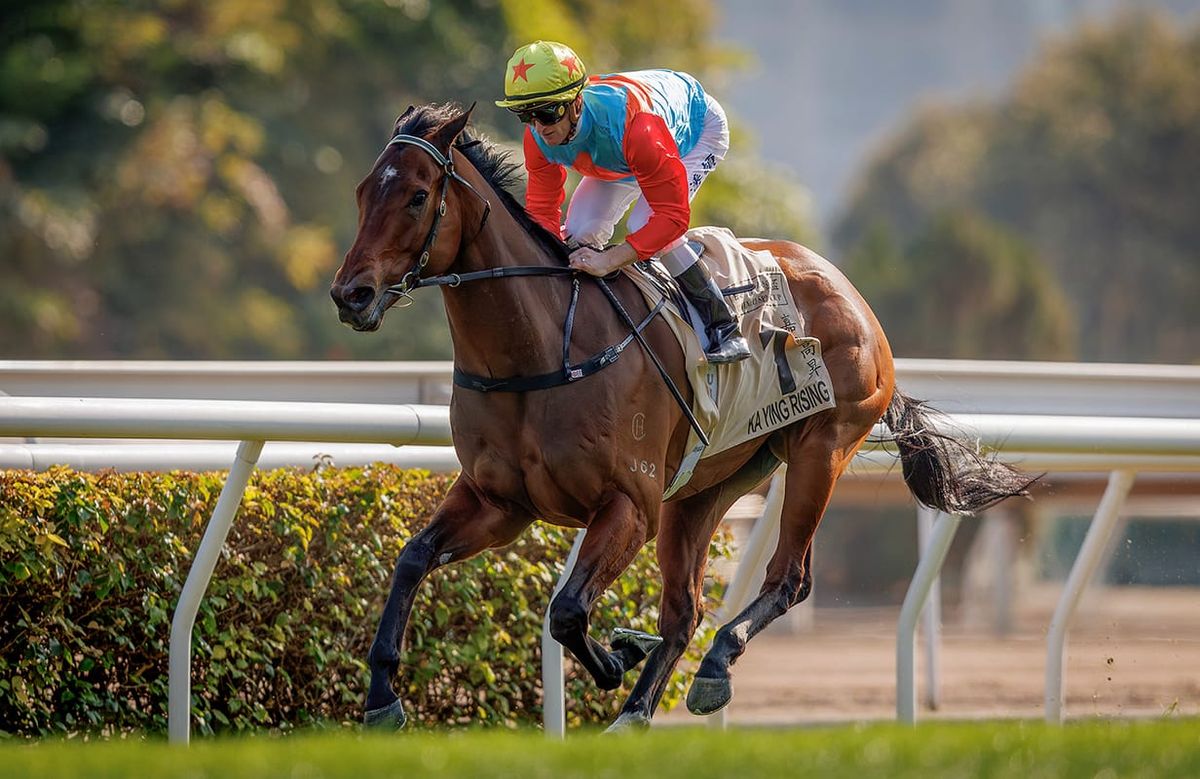 Season’s unbeaten star Ka Ying Rising claims Horse of the Year title at Hong Kong’s Champion Awards