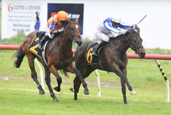 Long term focus for Abbakiss