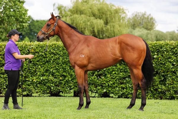 Karaka Graduates Shoot for Selangor’s Seven-Figure Prize