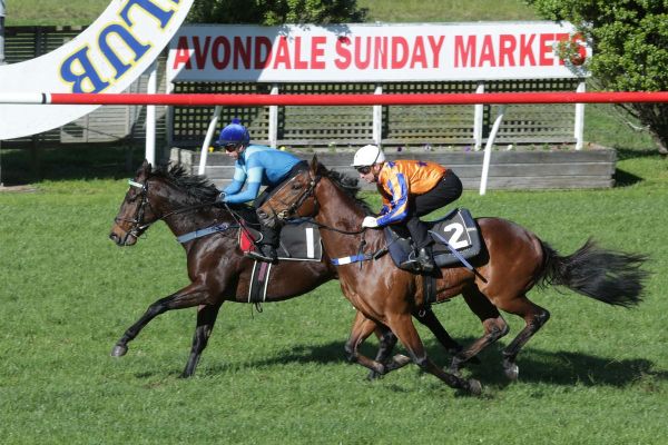 Nakhle has another exciting young prospect