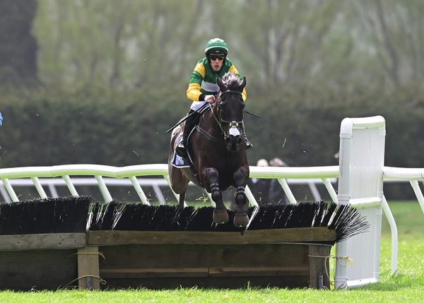 Great New Zealand focus for Billy Boy