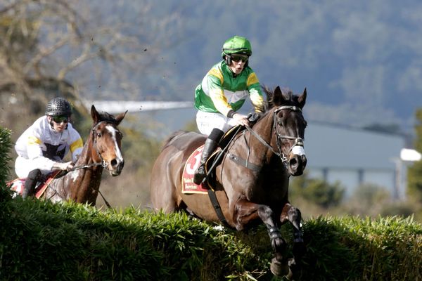 Billy Boy near-flawless in steeple debut