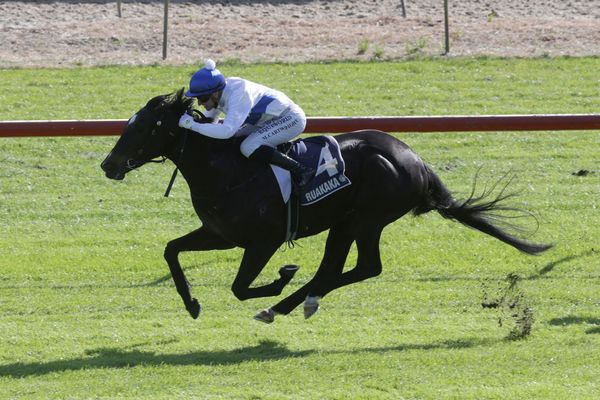 Breeders target for Cashla Bay