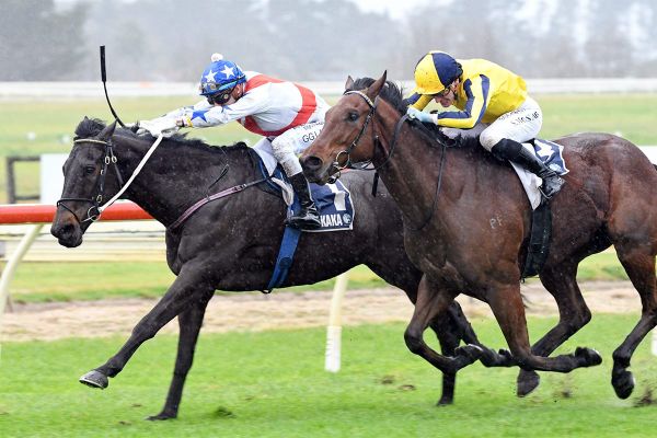 Cleat and Lahoud strike again at Ruakaka