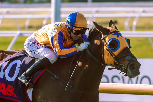 Cognito back in top form