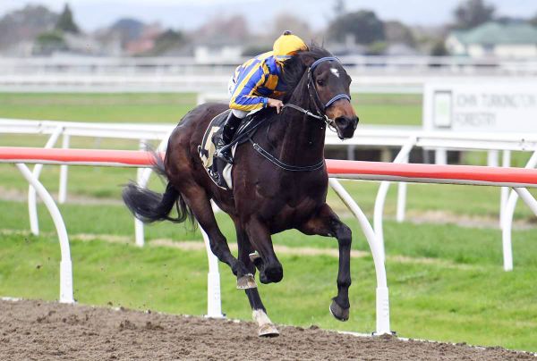 Grays hunting local riches