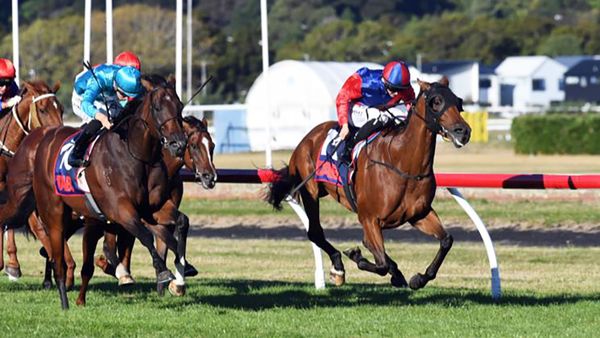 Foxbridge likely first target for Doctor Askar