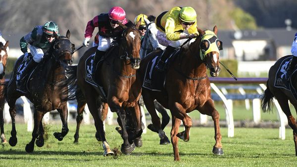 Diamond Jak exacts revenge in Taumarunui Cup
