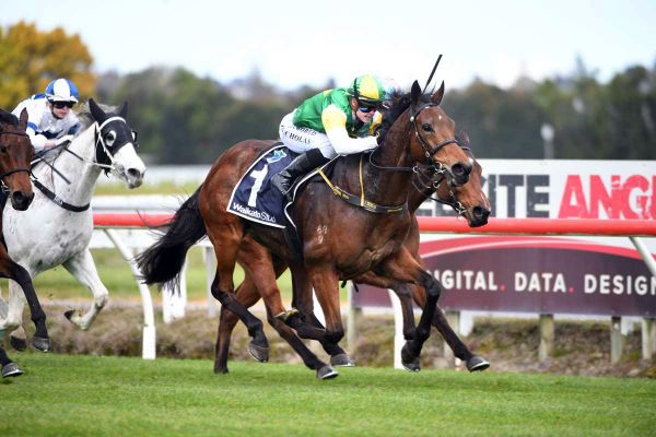 Nunn continuing Don’s Legacy