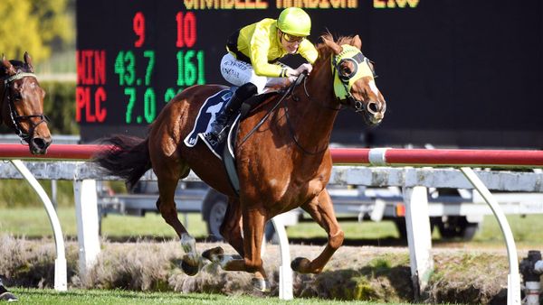 Drop Of Something takes Te Rapa thriller