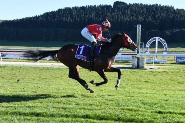 El Vaquero outshines juveniles at Oamaru