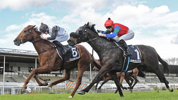 Promising mare remains unbeaten with Te Rapa victory