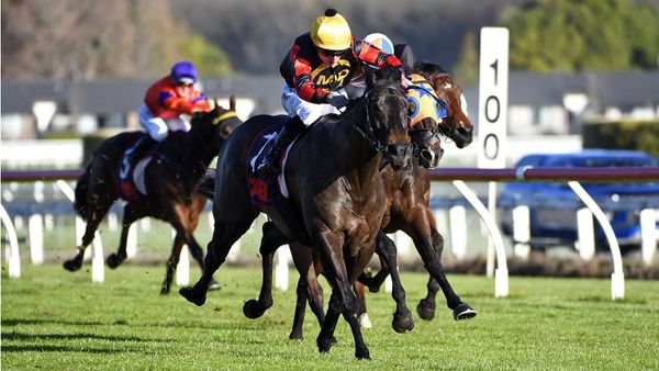 Force Of Nature continues winning roll