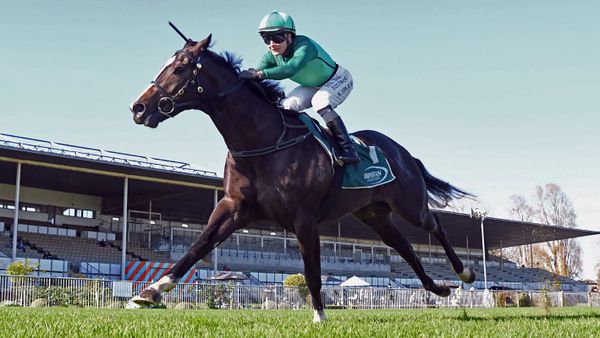 Willing Geneva ready for Ruakaka test