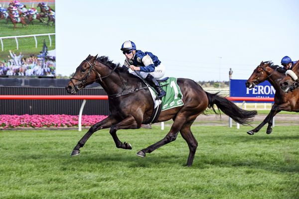 Gringotts aiming for Winx Stakes return