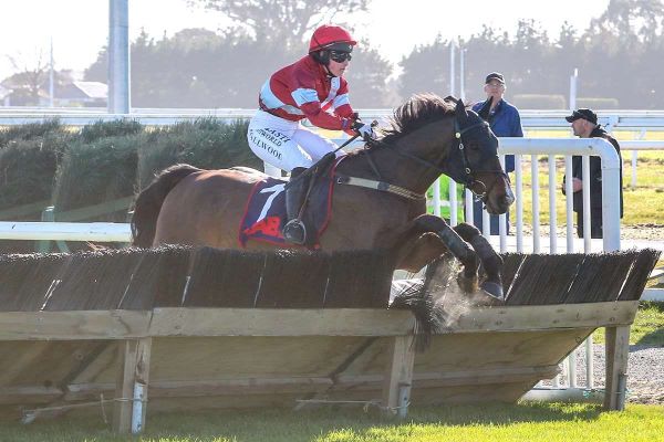 Hidalgo impresses in hurdle debut