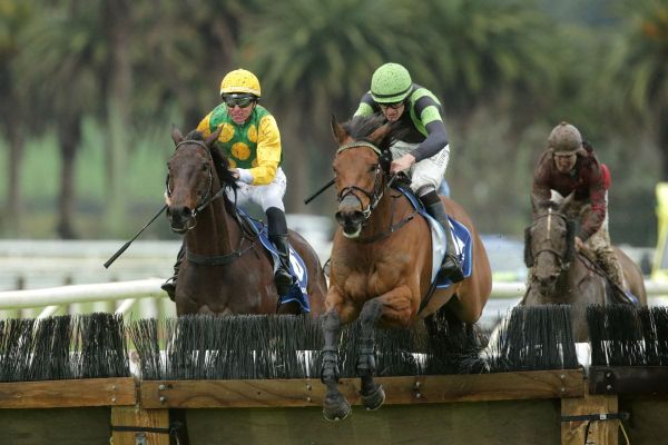 Hill Of Kings hits new heights in Pakuranga Hunt Hurdle