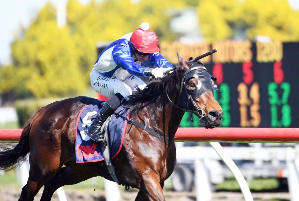 Family horse strikes another winning note