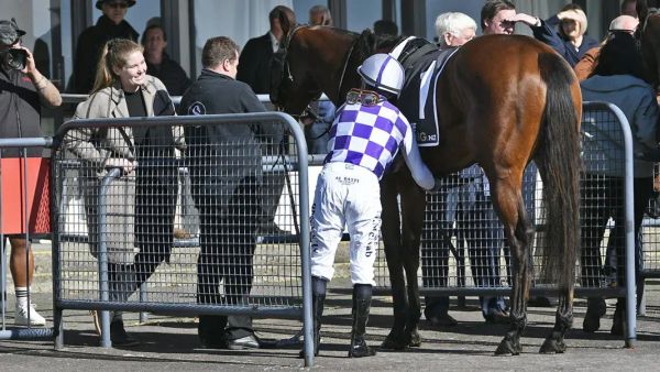 Logan runner kicks off his winning roll at Rotorua