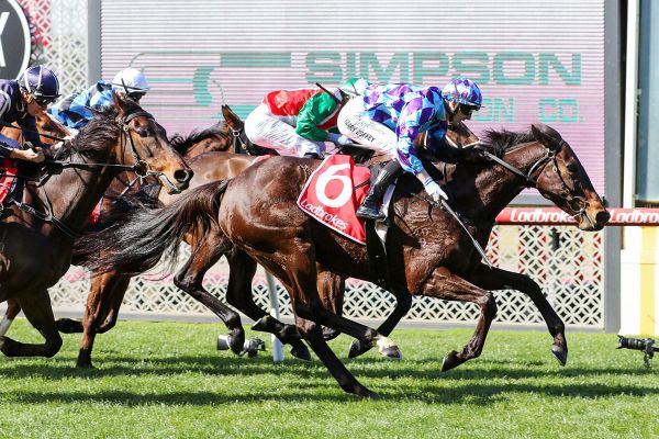 Jenni lets loose at The Valley