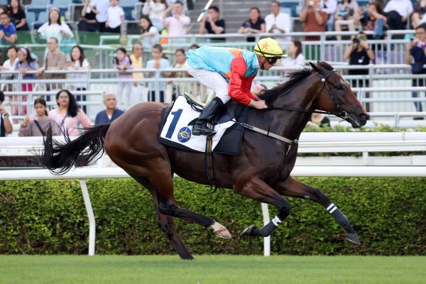 ‘Pleasure to watch’ Ka Ying Rising impresses again at Sha Tin ahead of return
