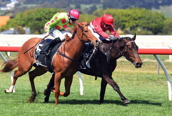 Trainer in no rush to lock in 3YO targets