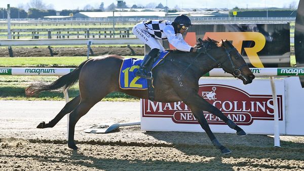 Stakes target in mind for pacy sort