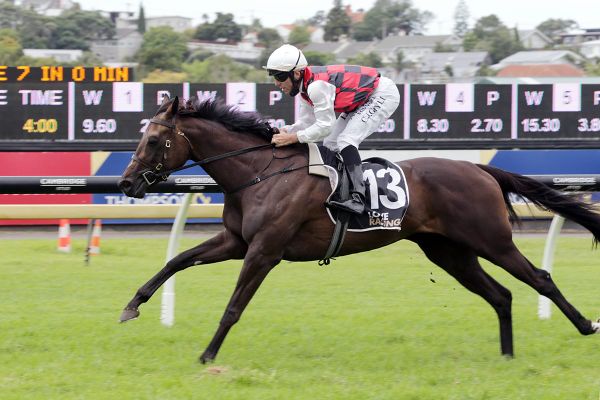 Trans-Tasman spring options for La Crique