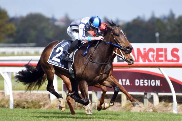 Lupo Solitario returns to NZ