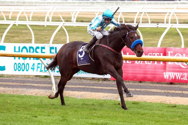 Northern mile looming for Matscot