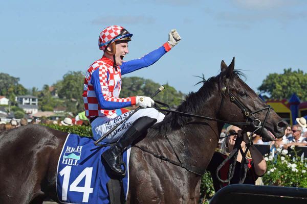 Gallant Mali Ston set for Foxbridge renewal