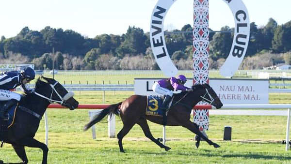 Further stakes success for Beaufort graduate