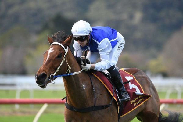 Late bloomer quick to rise to Cup challenge