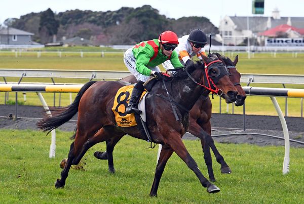 Winning double for Nicholas at New Plymouth