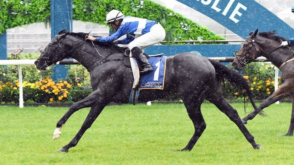 Byerley Park barn hold strong hand heading into spring