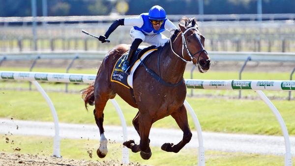 Seamsew continues strong synthetic run