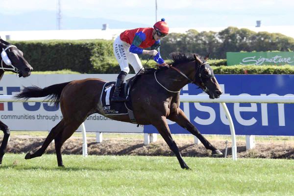 Rogersons dreaming of Melbourne Cup again with Sharp ‘N’ Smart