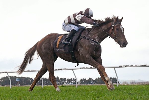 Speedy juvenile leading Sharrock’s trio at Otaki
