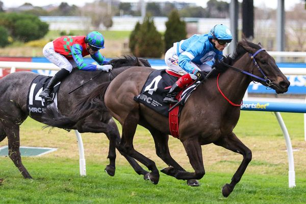Stylish Caulfield Victory for Bargain Buy