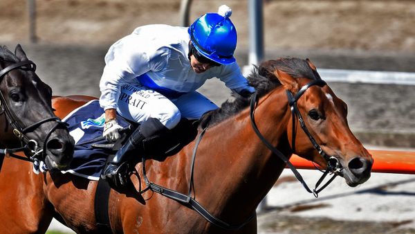 The Oaks Stud fillies thriving ahead of Group Three test