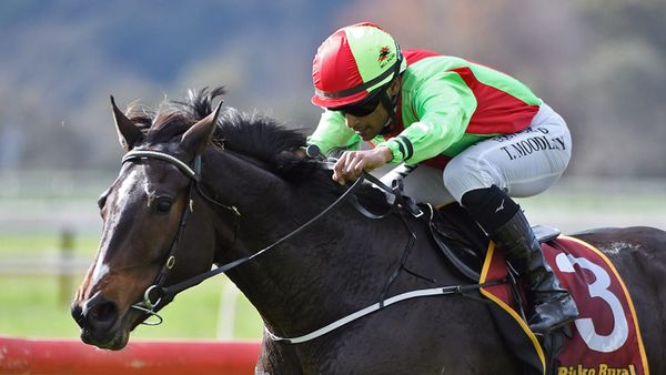 Family history on Twain’s side