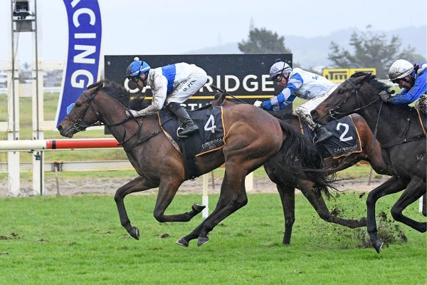 Stud on target for further Guineas glory