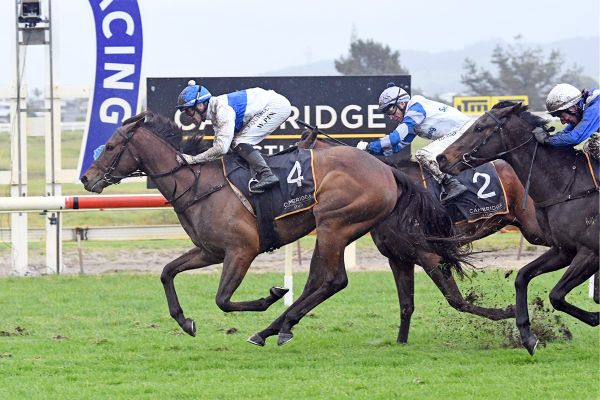 Tajana makes brilliant return in Breeders’ Stakes