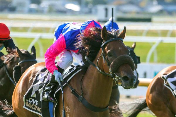 Walsh hoping for ace day at Riccarton