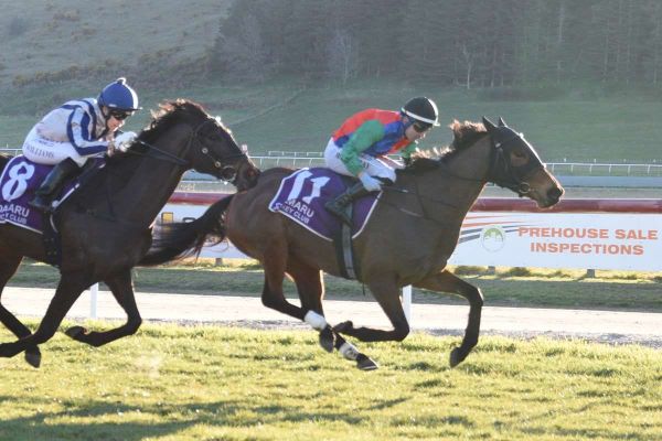 Murray out to build on century of wins