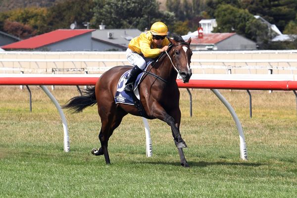 War Princess seeking crowning glory