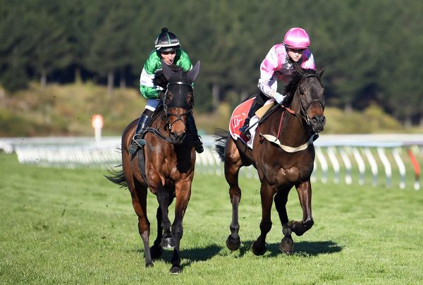 Nickalls heads south with jumping envy