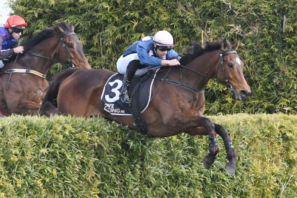 O’Malley eyeing first success in new role